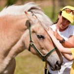 Marly, calutul care a botezat hipoterapia