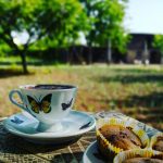 Viața la țară (5)