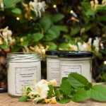 cup&candle pentru ochisoru (2)